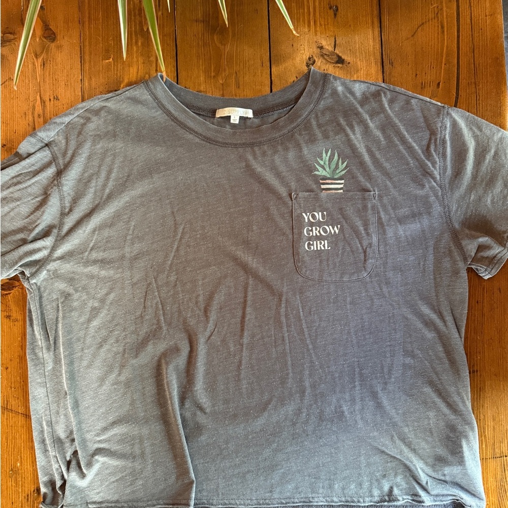 Z supply cropped tee